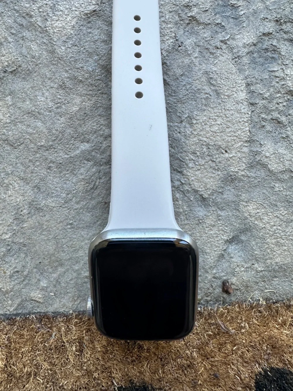 Titanium Apple Watch Series 5 Edition 44mm (GPS + Cellular), Unlocked